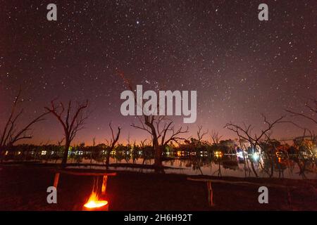 Feu de camp et arbres morts silhouettés contre un ciel étoilé, Lara Wetlands, Queensland, Queensland, Australie Banque D'Images