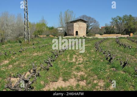 Columbarium romain de Vila-rodona municipalité de la région d'Alt Camp province de Tarragone, Catalogne, Espagne Banque D'Images