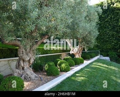 Beverly Hills, Californie, États-Unis 17 septembre 2021 Une vue générale de l'atmosphère de l'acteur George Segal et de l'acteur Max Pavlesky ancienne maison/maison au 841 Greenway Drive le 17 septembre 2021 à Beverly Hills, Californie, États-Unis.Photo par Barry King/Alay stock photo Banque D'Images