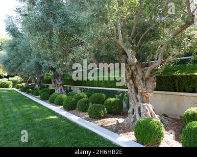 Beverly Hills, Californie, États-Unis 17 septembre 2021 Une vue générale de l'atmosphère de l'acteur George Segal et de l'acteur Max Pavlesky ancienne maison/maison au 841 Greenway Drive le 17 septembre 2021 à Beverly Hills, Californie, États-Unis.Photo par Barry King/Alay stock photo Banque D'Images