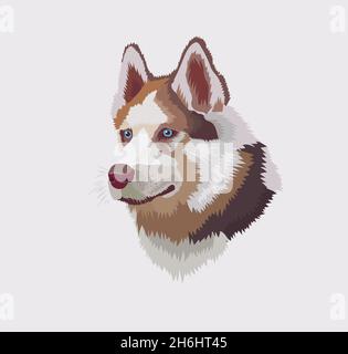 Tête husky sibérienne avec illustration vectorielle bleue des yeux Illustration de Vecteur