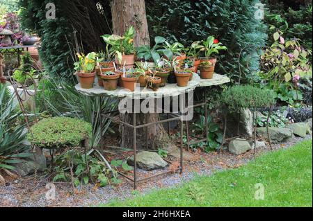 SOLINGEN, ALLEMAGNE - 05 OCTOBRE 2014 : décoration du jardin allemand Ulbrich en octobre Banque D'Images