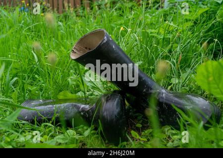 Une paire de bottes en caoutchouc noir dans le gras vert Banque D'Images