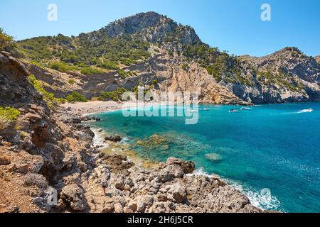 Eaux turquoise de Majorque. Plage de Coll Baix. Côte méditerranéenne. Espagne Banque D'Images