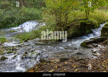 Un déversoir pittoresque au-dessus des rochers calcaires près des étangs à poissons, de la rivière Lathkill, de Lathkill Dale, du parc national de Peak District, Derbyshire, Angleterre. Banque D'Images