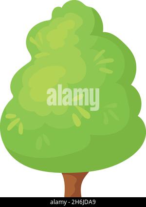 Arbre luxuriant.Magnifique feuillu sur le bois caduque de couronne, conception vectorielle isolée sur fond blanc Illustration de Vecteur