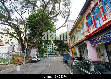 Small Open Park at Hindoo Road est un parc public avec des sculptures d'éléphants colorées à Little India, Singapour. Banque D'Images