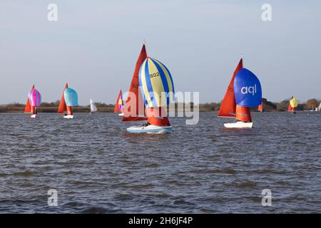 Voile dériveur, course sur Oulton Broad avec spinnaker sort. Banque D'Images