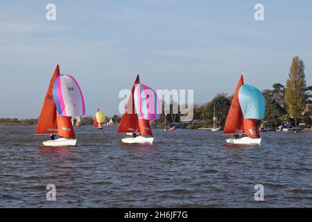 Voile dériveur, course sur Oulton Broad avec spinnaker sort. Banque D'Images