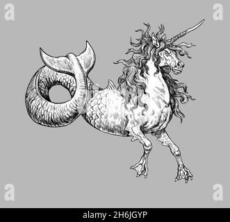 licorne mystique d'hippocampe.Créature sous-marine.Dessin fantaisie. Banque D'Images