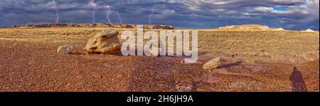 Grande tempête approchant Blue Mesa dans le parc national de Petrified Forest, vue depuis le sentier Red Basin, près de Holbrook, Arizona, États-Unis Banque D'Images