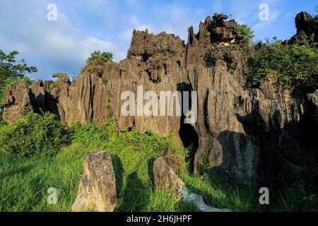 Roche calcaire érodée et dissoute par l'eau dans la région karstique, Rammang-Rammang, Maros, Sulawesi du Sud, Indonésie,Asie du Sud-est, Asie Banque D'Images