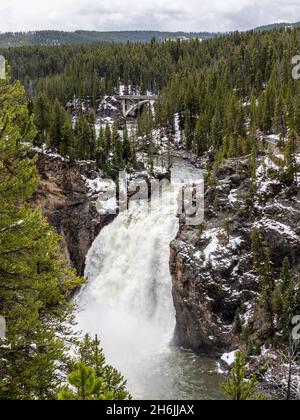 Les chutes de Yellowstone supérieures dans la rivière Yellowstone, parc national de Yellowstone, site classé au patrimoine mondial de l'UNESCO, Wyoming, États-Unis d'Amérique Banque D'Images
