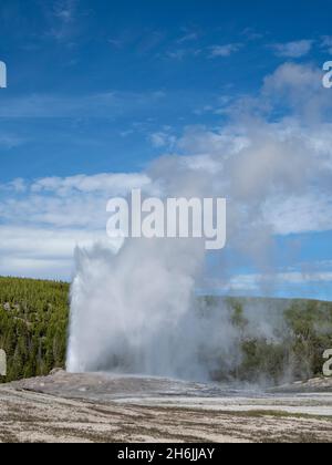 Le geyser de cône appelé Old Faithful Erupting, Parc national de Yellowstone, site du patrimoine mondial de l'UNESCO, Wyoming, Etats-Unis d'Amérique, Amérique du Nord Banque D'Images