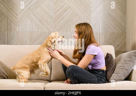 Une adolescente et un spaniel américain jouant sur le canapé dans le salon Banque D'Images