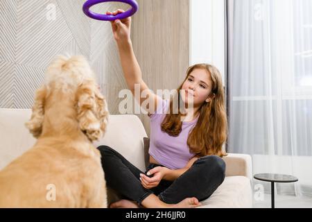 Adolescente jouant avec un spaniel tout en étant assise sur un canapé dans le salon.Fille tenant un extracteur au-dessus de la tête du chien. Banque D'Images