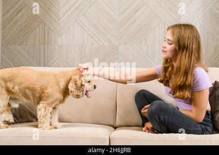 Adolescente jouant avec un spaniel tout en étant assise sur un canapé dans le salon Banque D'Images