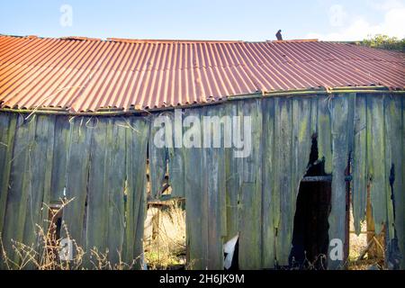 vieux hangars agricoles en décomposition près de selsey ouest sussex Banque D'Images