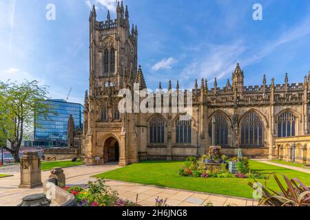 Vue sur la cathédrale de Manchester depuis Cathedral Yard, Manchester, Lancashire, Angleterre, Royaume-Uni,Europe Banque D'Images