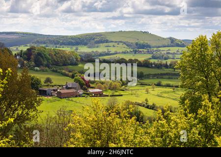 Vue de Shaftesbury sur le paysage de Cranborne Chase AONB (région de beauté naturelle exceptionnelle) jusqu'à Melbury Beacon, Shaftesbury, Dorset, Angleterre Banque D'Images