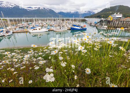 Vue sur le port de Haines, sud-est de l'Alaska, États-Unis d'Amérique, Amérique du Nord Banque D'Images