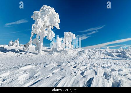 Montagne Hornisgrinde en hiver, Forêt Noire, Bade-Wurtemberg, Allemagne, Europe Banque D'Images