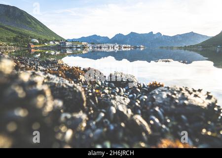 Petit port de pêche de Senjahopen éclairé par le lever du soleil, Mefjord, Senja, comté de Troms, Norvège,Scandinavie, Europe Banque D'Images