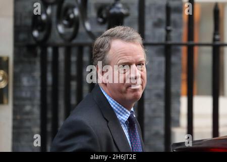 Londres, Royaume-Uni.16 novembre 2021.Le secrétaire d'État à l'Écosse, Alister Jack, arrive pour la réunion hebdomadaire du Cabinet.Credit: Uwe Deffner/Alay Live News Banque D'Images