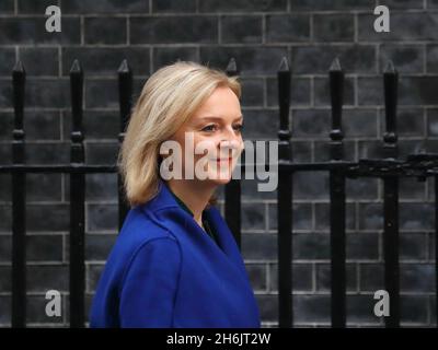 Londres, Royaume-Uni.16 novembre 2021.La secrétaire aux Affaires étrangères, Elizabeth Truss, arrive à la réunion hebdomadaire du Cabinet.Credit: Uwe Deffner/Alay Live News Banque D'Images