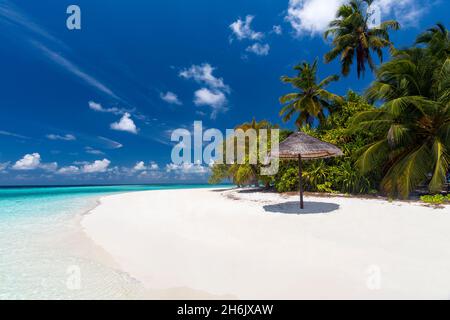 Maldives plage, lagune et palmiers, les Maldives, Océan Indien, Asie Banque D'Images
