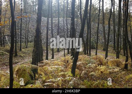 Impressionnant fort de colline celtique d'Otzenhausen (ringwall, Hunnenring) vu de la forêt d'automne colorée, Otzenhausen, Nonnweiler, Sarre, Allemagne Banque D'Images