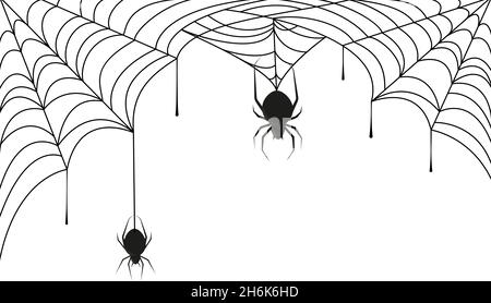 Araignée sur toile d'araignée noire.Halloween arrière-plan ou cadre avec toile de tissage dans le coin et silhouette de l'image vectorielle des araignées d'horreur Illustration de Vecteur