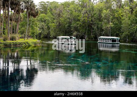 2 tours en bateau à moteur, eau claire, bateaux à fond de verre ; observation de la nature ; arbres verts,Loisirs, touristes, voyages, parc national de Silver Springs, Flor Banque D'Images