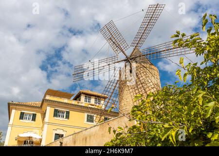 Maison de ville et moulin à vent historique d'es Jonquet dans la vieille ville de Palma de Majorque, Majorque, Iles Baléares, Espagne Banque D'Images