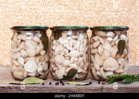 Conservation maison.Champignons Suillus marinés dans des pots en verre avec couvercles en métal Banque D'Images