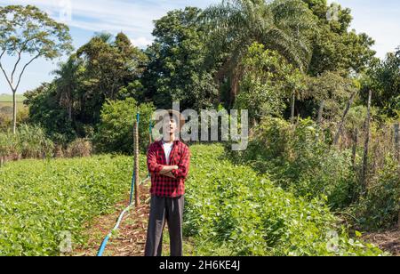 Agriculteur utilisant un ordinateur numérique de tablette dans les plantations de champ de soja cultivé.Application de la technologie moderne dans l'activité agricole en pleine croissance. Banque D'Images