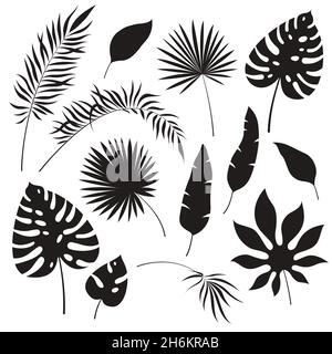 Silhouettes de feuilles tropicales.Jungle noire feuille exotique philodendron palmier royal fougère banane.Illustration tropicale d'été Illustration de Vecteur