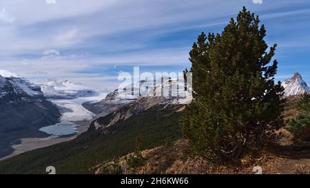 Magnifique paysage des montagnes Rocheuses avec le majestueux glacier de la Saskatchewan dans le parc national Banff, Alberta, Canada, vu de Parker Ridge. Banque D'Images