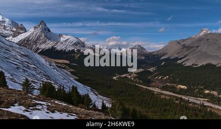 Vue panoramique sur la vallée de la rivière Saskatchewan Nord avec Icefields Parkway, forêt de conifères et pic Hilda enneigé dans le parc national Banff, Canada. Banque D'Images