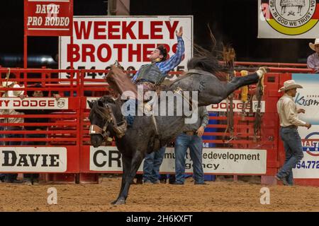 Davie, États-Unis.12 novembre 2021.Promenade en bareback vue sur le circuit Southeastern Finals Rodeo à Davie, FL du 11 au 13 novembre 2021 pendant l'événement.(Photo par Yaroslav Sabitov/YES Market Media/Sipa USA) crédit: SIPA USA/Alay Live News Banque D'Images