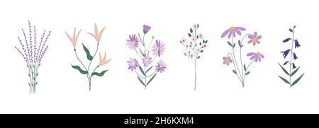 Ensemble botanique de plantes florales de jardin.Illustration vectorielle plate colorée Illustration de Vecteur