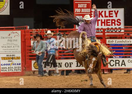 Davie, États-Unis.12 novembre 2021.Saddle Bronc Riding vu sur Southeastern circuit finals Rodeo à Davie, FL du 11 au 13 novembre 2021 pendant l'événement.(Photo par Yaroslav Sabitov/YES Market Media/Sipa USA) crédit: SIPA USA/Alay Live News Banque D'Images