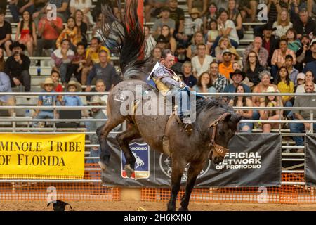 Davie, États-Unis.12 novembre 2021.Promenade en bareback vue sur le circuit Southeastern Finals Rodeo à Davie, FL du 11 au 13 novembre 2021 pendant l'événement.(Photo par Yaroslav Sabitov/YES Market Media/Sipa USA) crédit: SIPA USA/Alay Live News Banque D'Images