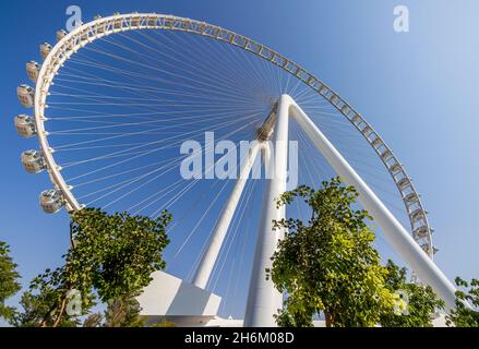 DUBAÏ, ÉMIRATS ARABES UNIS - 15 novembre 2021 : vue sur la roue d'observation des yeux de Dubaï à l'île de Bluewaters.Dubaï - Émirats arabes Unis.13 novembre 2021. Banque D'Images