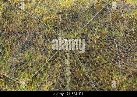 Filet de protection en pente à maillons de chaîne sur Monte Ruke, ne Italie.Système de stabilisation utilisé pour fixer les roches lâches et instables Banque D'Images