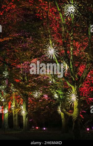 Kew Gardens, Londres, Royaume-Uni.16 novembre 2021.Noël à Kew revient aux Jardins botaniques royaux de Kew pour sa 9e année avec un sentier spectaculaire d'installations lumineuses pour les visiteurs.Credit: Imagetraceur/Alamy Live News Banque D'Images