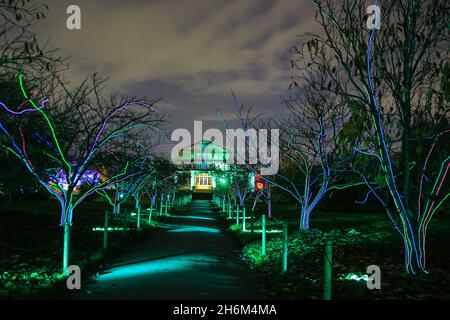 Kew Gardens, Londres, Royaume-Uni.16 novembre 2021.Noël à Kew revient aux Jardins botaniques royaux de Kew pour sa 9e année avec un sentier spectaculaire d'installations lumineuses pour les visiteurs.Credit: Imagetraceur/Alamy Live News Banque D'Images