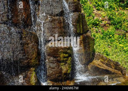 Belle petite chute d'eau avec la nature piscine sur l'île Maurice.Photo de haute qualité Banque D'Images