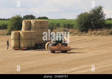 Des balles de foin rondes sont empilées sur un camion par un tracteur pour le transport hors du champ, le jour d'été près de Wakefield West Yorkshire, au Royaume-Uni Banque D'Images