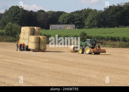 Des balles de foin rondes sont empilées sur un camion par un tracteur pour le transport hors du champ, le jour d'été près de Wakefield West Yorkshire, au Royaume-Uni Banque D'Images